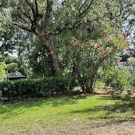 Rez-de-villa Climatisé, Vue - 4 Pers. - Fr-1-226b-258 Hébergement de vacances *